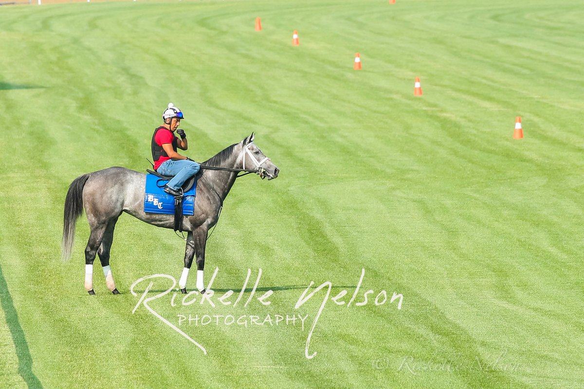 Qatar Racing on Twitter "RT DeckTheStalls Caravel working Tuesday