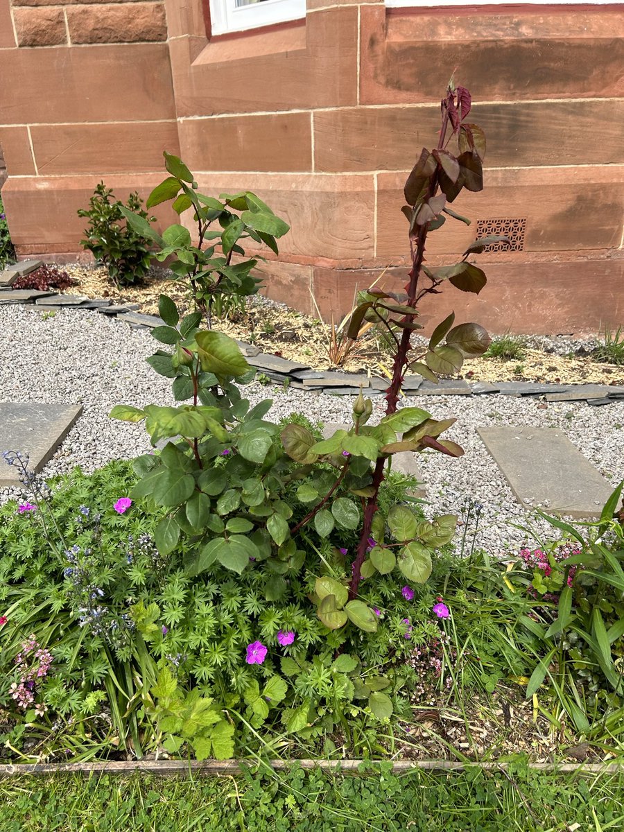 James Morton tweet media