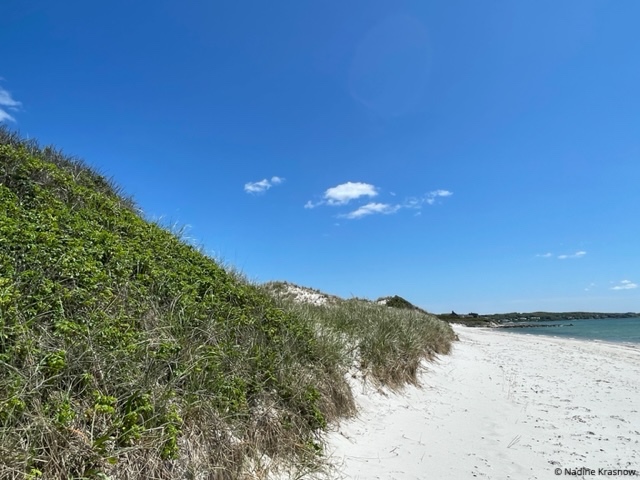 Sandy Dunes and Salty Air 🏖Patti Page’s classic still rings true: you’re sure to fall in love with old Cape Cod! If you’re not already in love, like we year-rounders are. #capecod #justanotherdayinparadise #itswhywelivehere #capecodrealestate #capecodrealtor