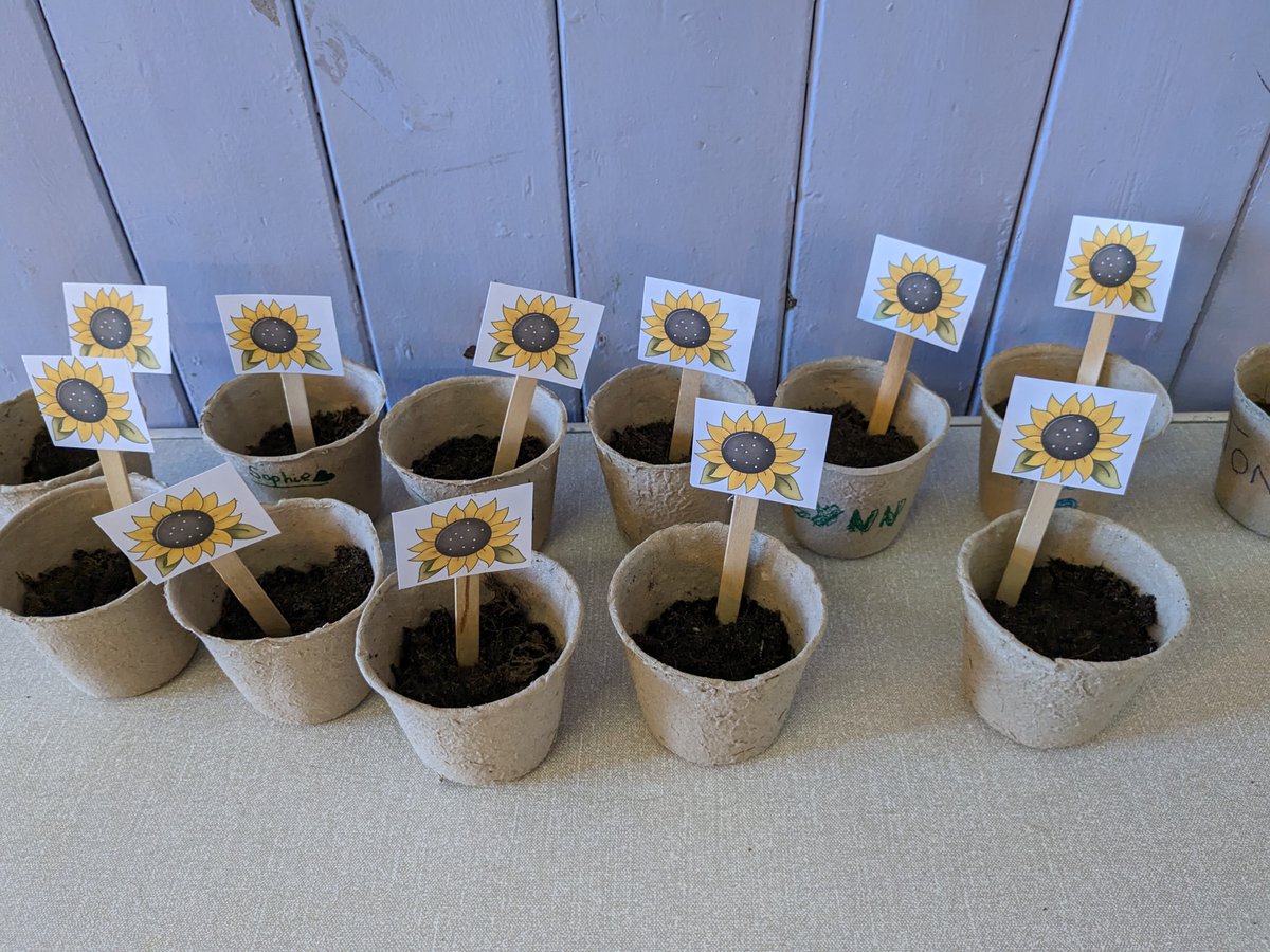 JaneAhmeek tweet media