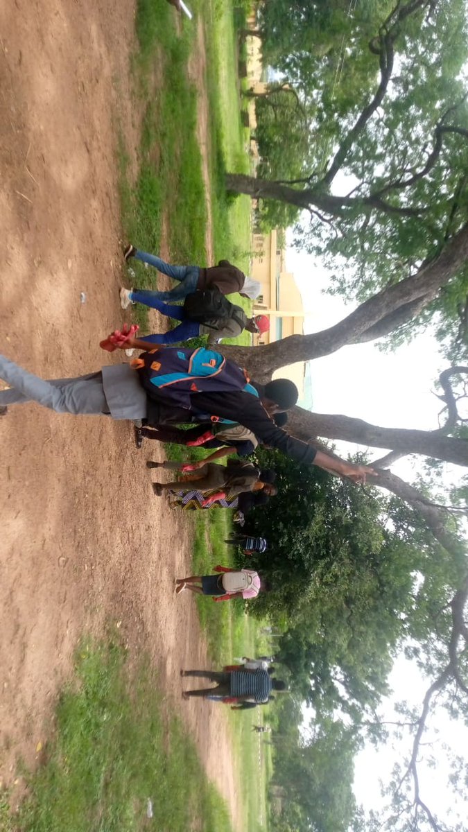 ggiclimate's tweet photo. Bonding with #Nature guarantees a feeling of fulfilment,heal you from within&make your spirit bright & shine. @KwaraCampusSeedDrive23,Had an #Adventurous #Experience #SeedHarvest #PlantPartHarvest #ExamineSpecimens
@JCI_UNILORIN @Ufsa @Greenunilorin #naturelovers @TreesThatFeed https://t.co/HcFX2H1qCz