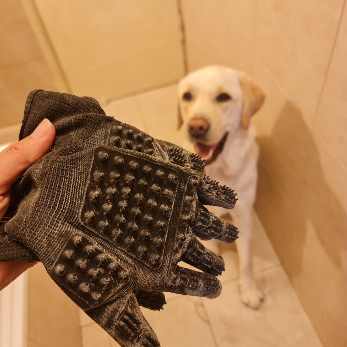 להקת אַבּוּ-חוואייג' ולהקתו tweet media