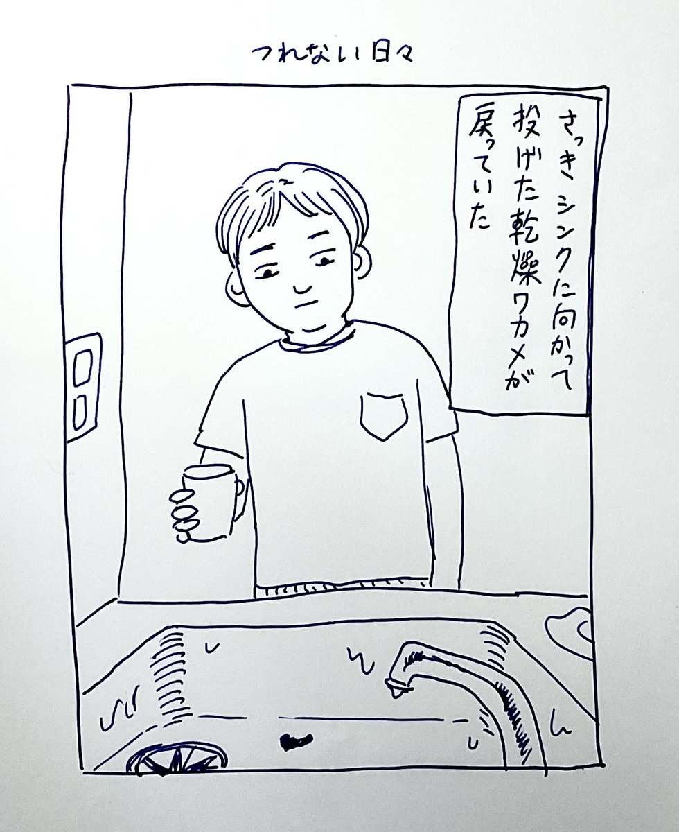 ふえるわかめ 