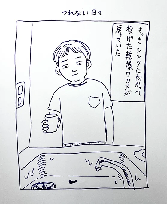 ふえるわかめ 