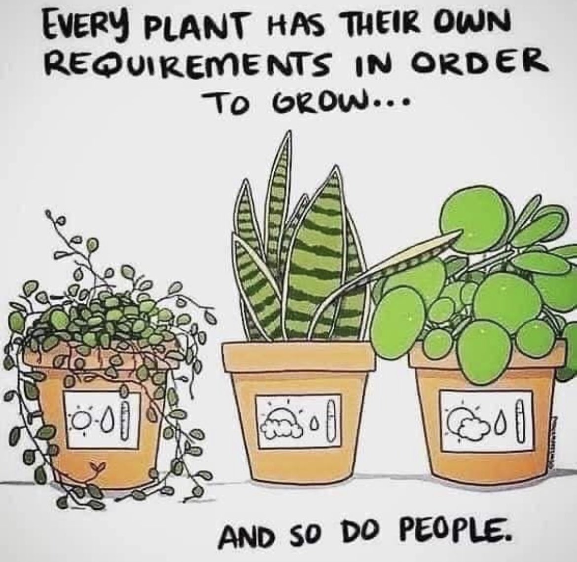 PlantosNursery's tweet image. #childcenteredlearning #uncrc #rightsofthechild @uncrc @childrenscommissioner @cardiffchildcareoffer @newportbabyandtoddlers @cardiffmummysays