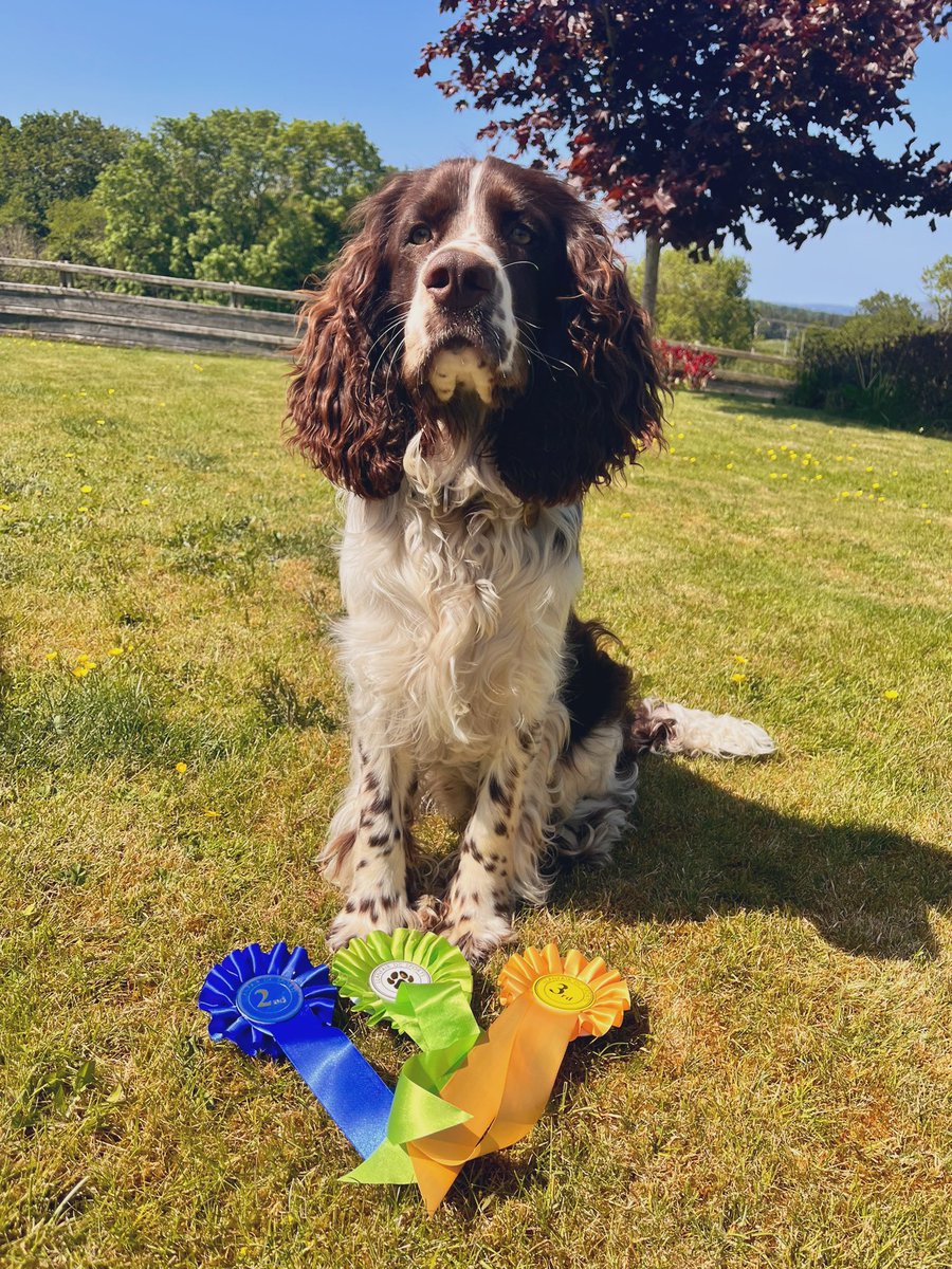 Prof Jo Meehan tweet media