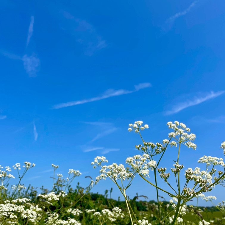 BBC Weather tweet media