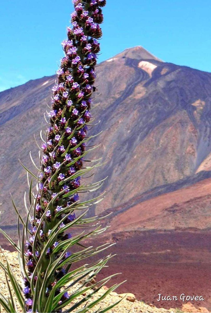 Difrutando de un día espectacular y precioso en el teide 😎✌️✌️✌️