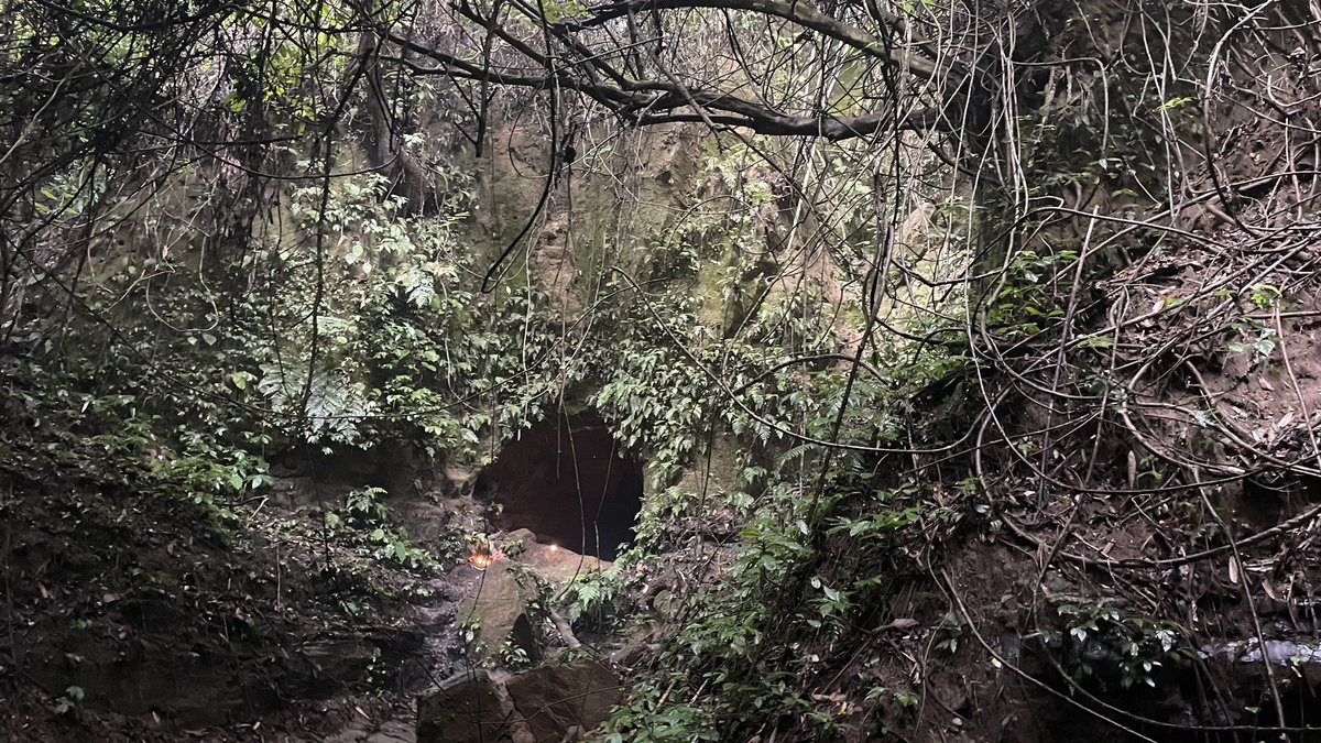 drnkchanchal's tweet photo. Sila guha cave situation in karbook subdivision of Gomati district declared as biodiversity heritage site  …one of potential tourist attractions of Tripura @ForestTripura @JKSinhaIAS https://t.co/hwd79VkjdI