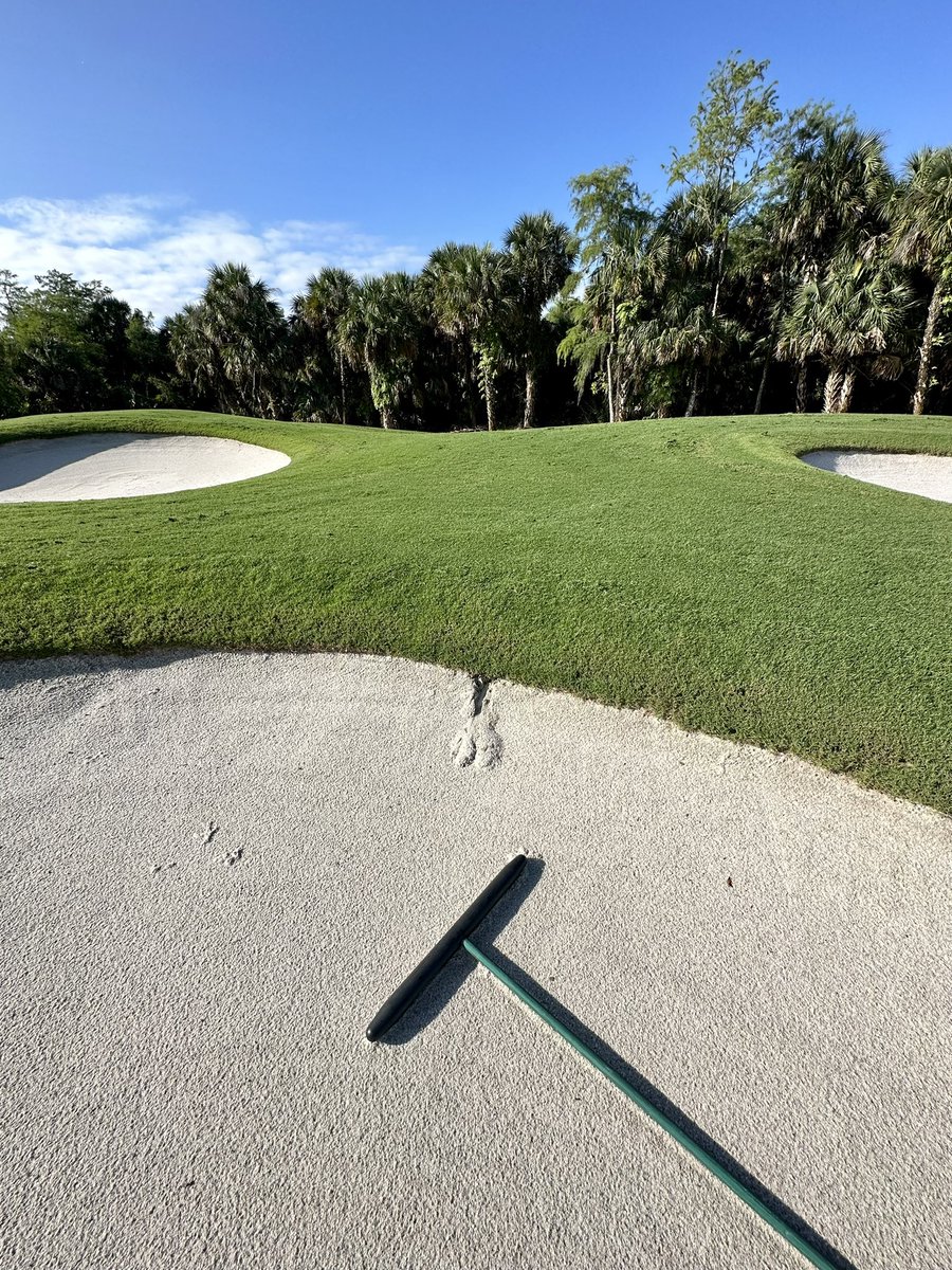 Last night we received the first significant rainfall of summer -  1.5” in 1/2 an hour As I walked the back 9 this a.m. I was reminded why we selected the <a href="/Billy_Bunker/">Better Billy Bunker</a> system We had 3 areas that had a minor “channel” The crew and the golfers are thrilled! #OldeFloridaGolfClub