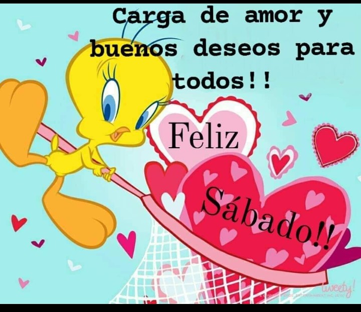 Elibeth Jimenez (@elibethjimenez8) on Twitter photo 