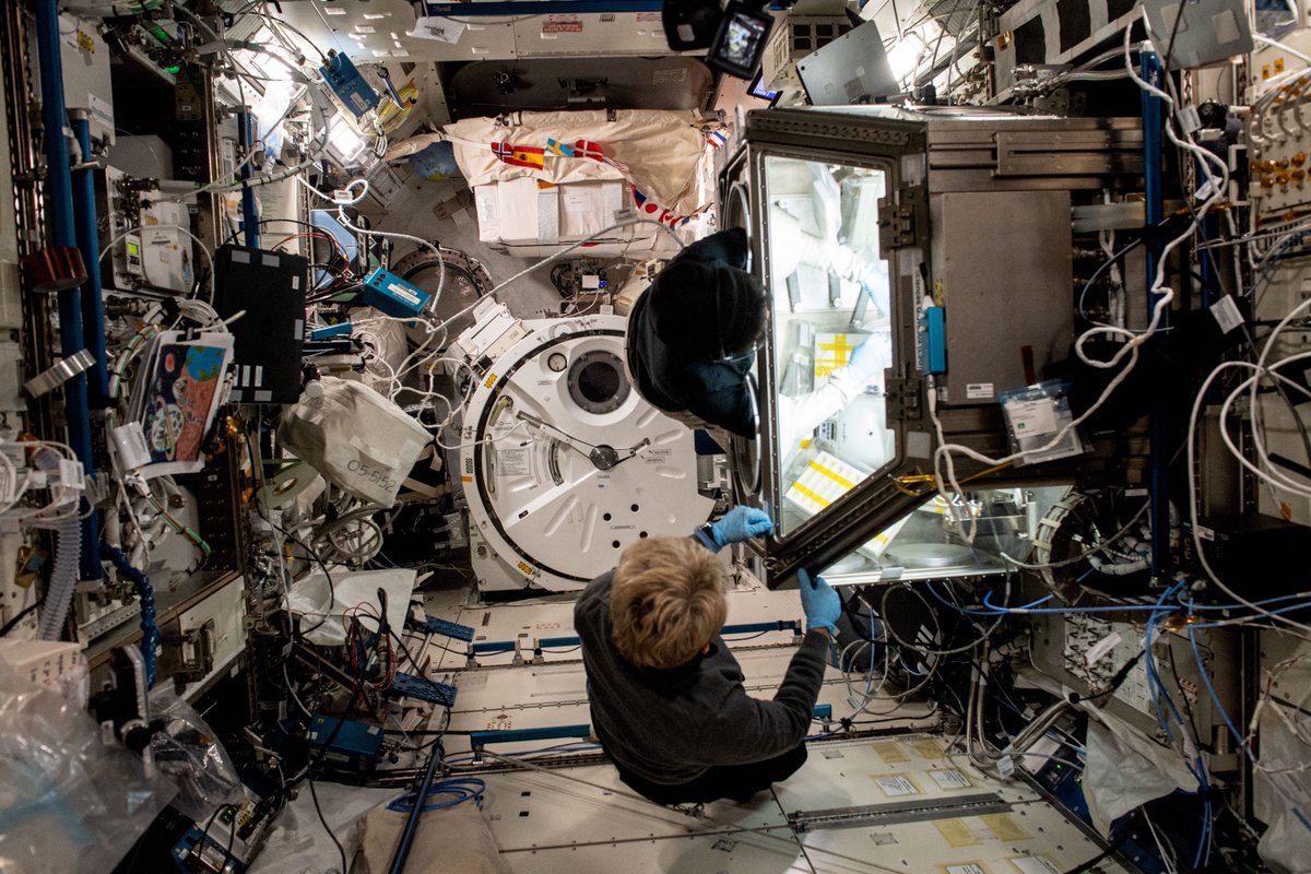 Commander Whitson and Rayyanah Barnawi work on the Life Sciences Glovebox (LSG), producing DNA Nanomaterials on the ISS.