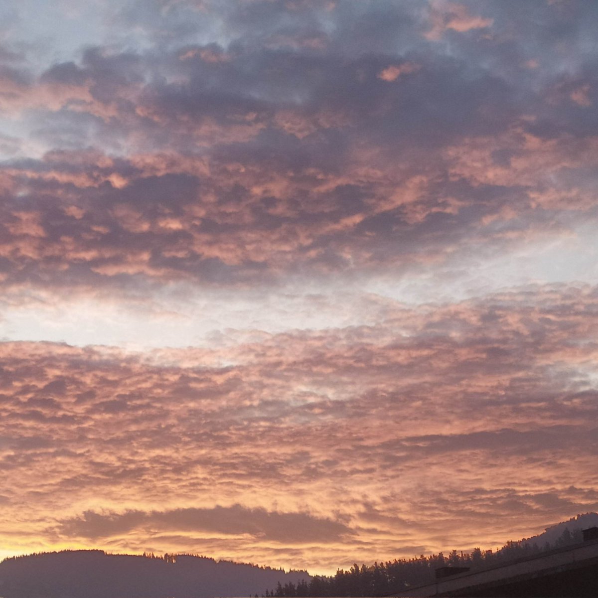 Izugarrizko egunsentia aspalditik partez.
#sunrise #sunriseoftheday #sunrise_sunset_photogroup #sunrise_and_sunsets #sunrises #sunrise_sunsets_aroundworld #ordizia #gipuzkoa #euskalherria #euskadi #basquehighlands #basquecountry #paysbasque