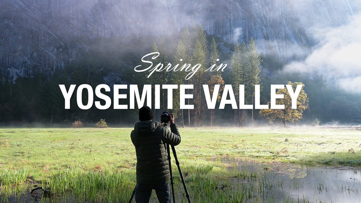 dsafanda's tweet image. A new short video documenting a recent weekend in Yosemite Valley. 
Unsettled weather, dramatic waterfalls, peaceful meadows and some missed opportunities packed into an all too brief trip.
youtu.be/mg2AXe7aCRk