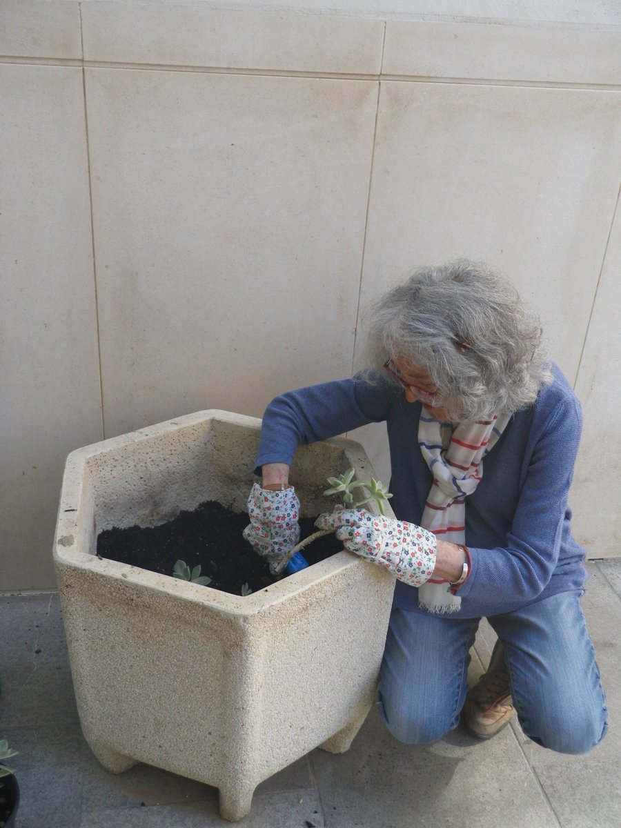 AulagaAsociacio's tweet photo. Actividad semanal en el vivero de Aulaga, continuando con la campaña #EnPrimaveraRegalaPlantas. Esta semana se han plantado crasas y se ha realizado el seguimiento de los #geranios, #gladiolos. También se ha experimentado con plantas en agua.
#primavera #voluntariado #Málaga https://t.co/b1qHTPCv3d