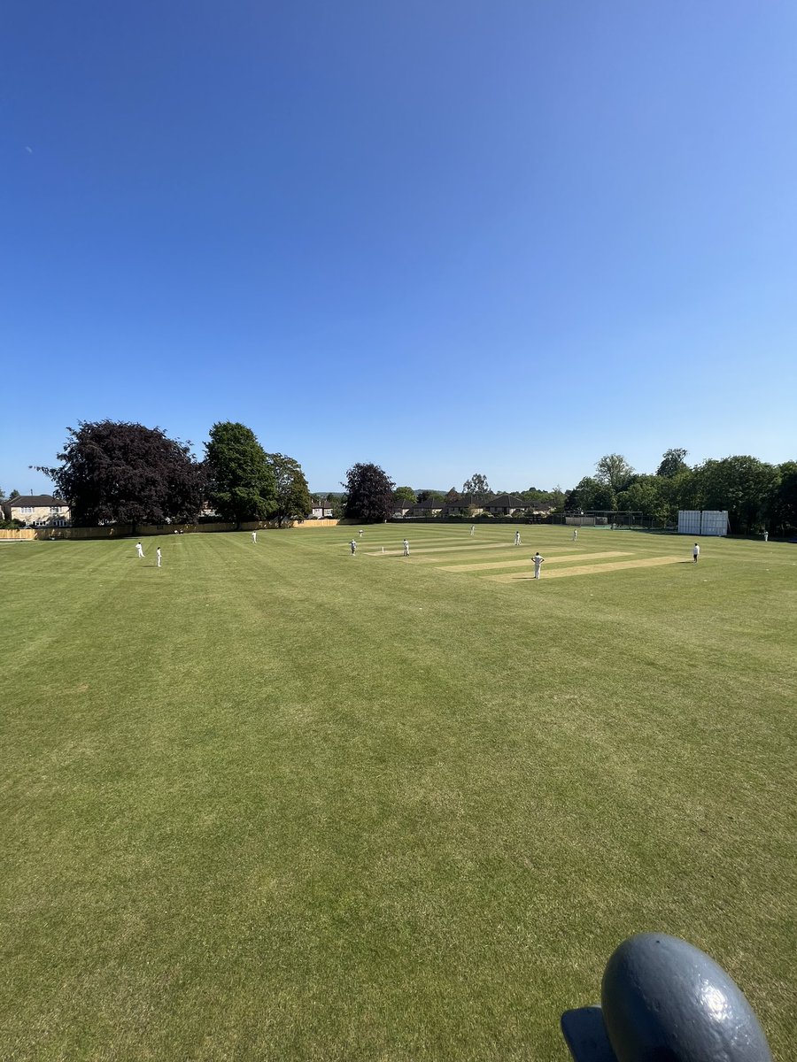 Just glorious 🏏 ☀️