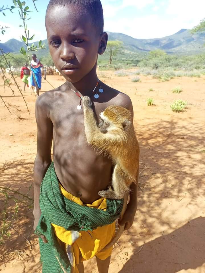 Love between  this Samburu Son and  this Innocent   ruffed lemurs monkey  is amazing♥️