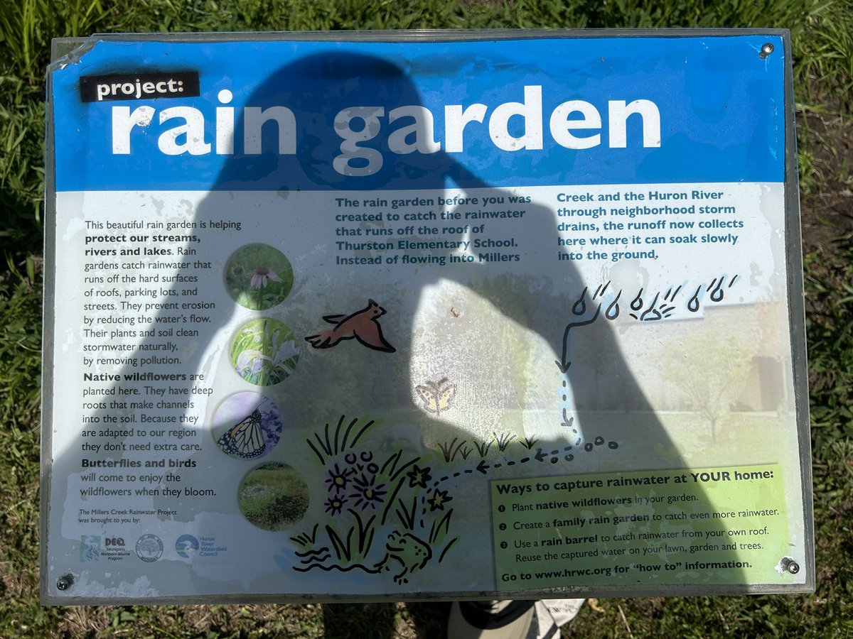 Jossmi23's tweet photo. Sat morning cleanup at the Thurston π’ garden. #garden #turtle #a2school @A2schools https://t.co/3jG2NMp6y8