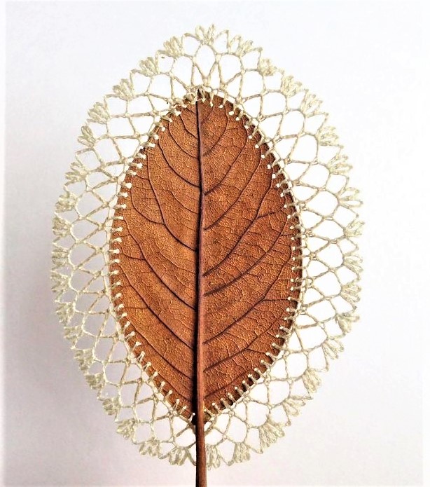 Delicate crocheted/sewn leaf sculptures by UK artist Susanna Bauer #WomensArt