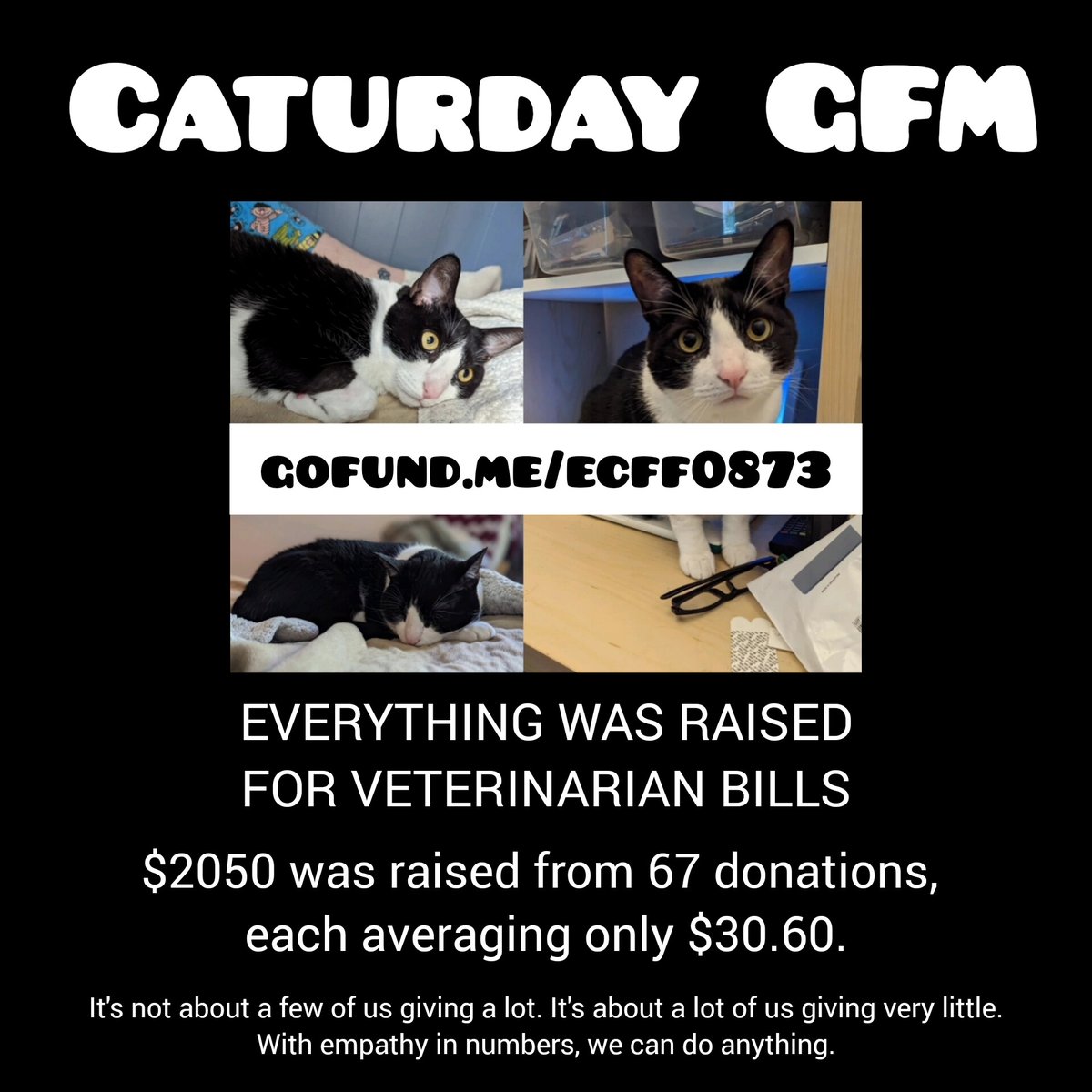 Cheyanne4UBI's tweet photo. GOAL COMPLETED!!! ๐ฅณ
๐บ#Caturday๐บ #CrowdfundBasicIncome
๐๐ผ๐บ๐บ๐บ๐บ๐บ๐บ๐บ๐บ๐๐ผ
๐โโฌ๏ธhttps://t.co/X5fK1gCcoh๐พ
๐๐ป๐บ๐บ๐บ๐บ๐บ๐บ๐บ๐บ๐๐ป
THANK YOU ALL โค๏ธ๐๐ป https://t.co/DiL3F1Qf6l