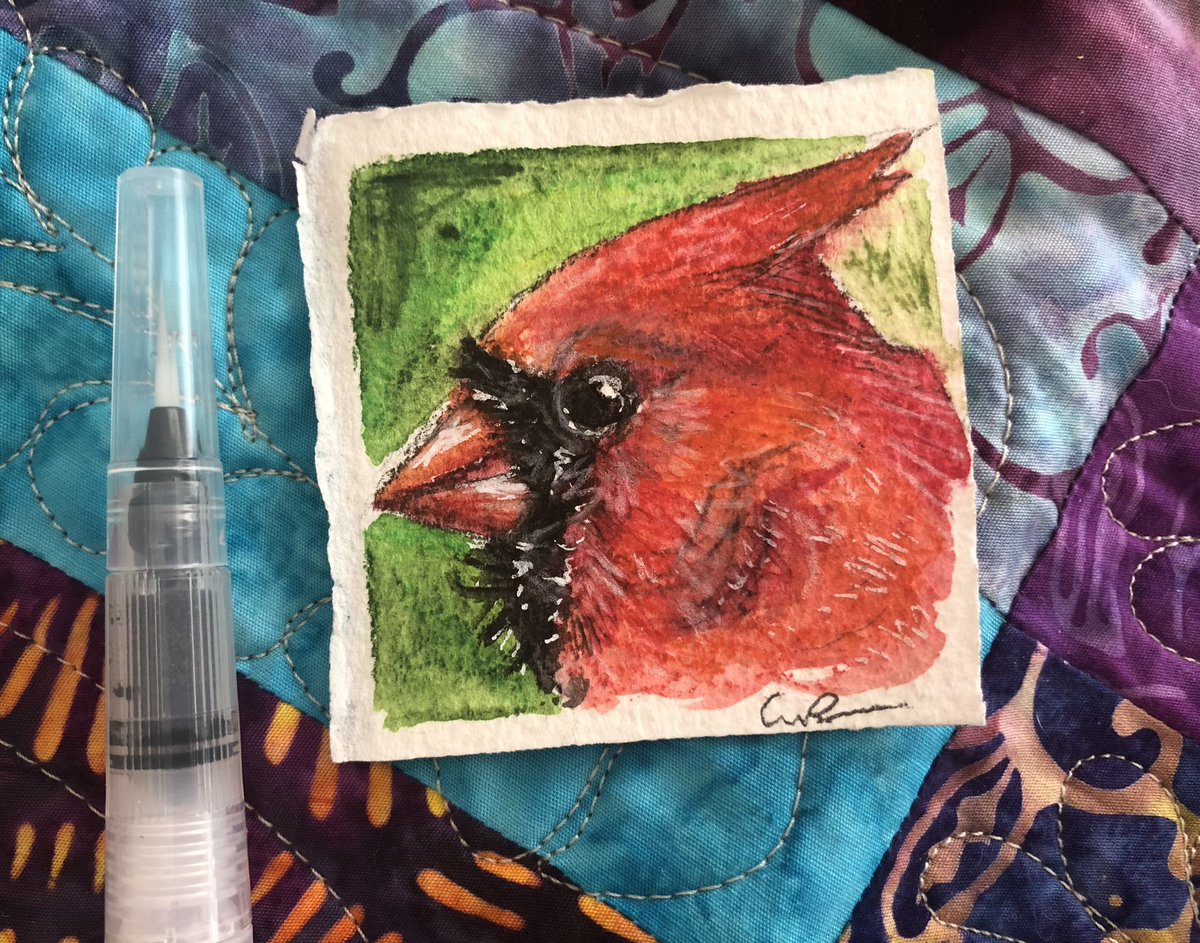 Tiny Cardinal #watercolor study. Trying to paint every bird I see this year! #birding

#birdart #cardinalbird #animalart