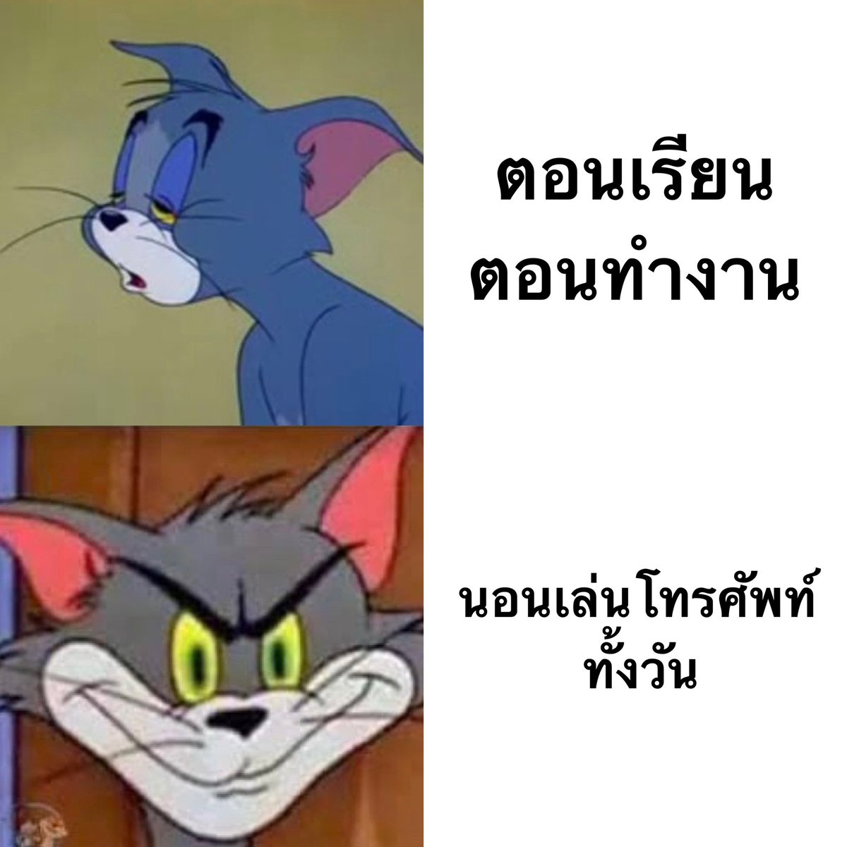 อันนี้จริงมาก 555555555555555555555