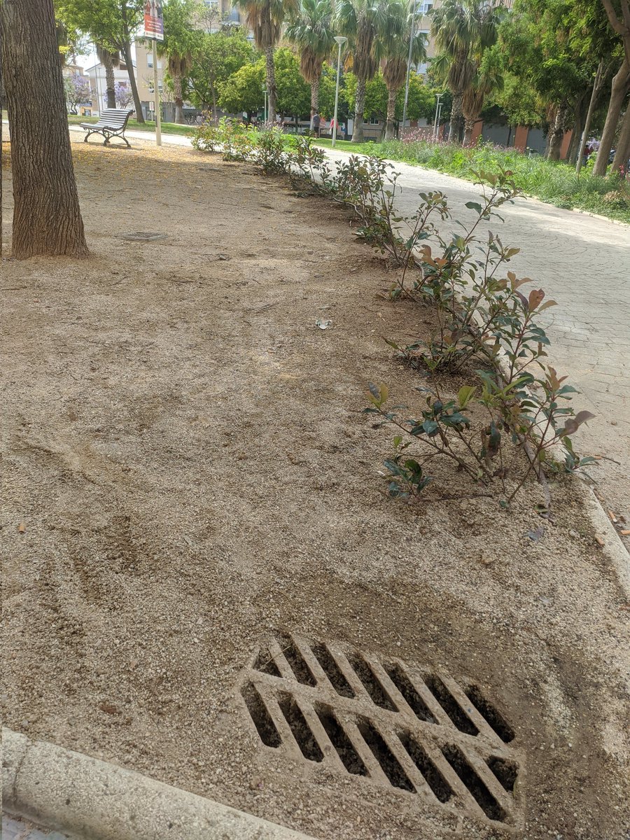 EduG_H's tweet image. #Filtrodearena #Sandfilter #suds