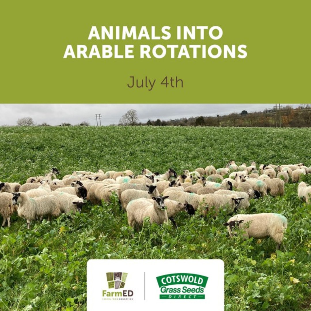 FarmED (@realfarmed) on Twitter photo Are you thinking of introducing livestock back into your arable rotation? Join us and <a href="/CotswoldSeeds/">Cotswold Seeds</a> as we explore the options and find practical solutions.
farm-ed.co.uk/event-details/…
#arablerotation #livestockrotation #animalcare #arablefarming #ukfarming #cotswoldseeds Are you thinking of introducing livestock back into your arable rotation? Join us and <a href="/CotswoldSeeds/">Cotswold Seeds</a> as we explore the options and find practical solutions.
farm-ed.co.uk/event-details/…
#arablerotation #livestockrotation #animalcare #arablefarming #ukfarming #cotswoldseeds