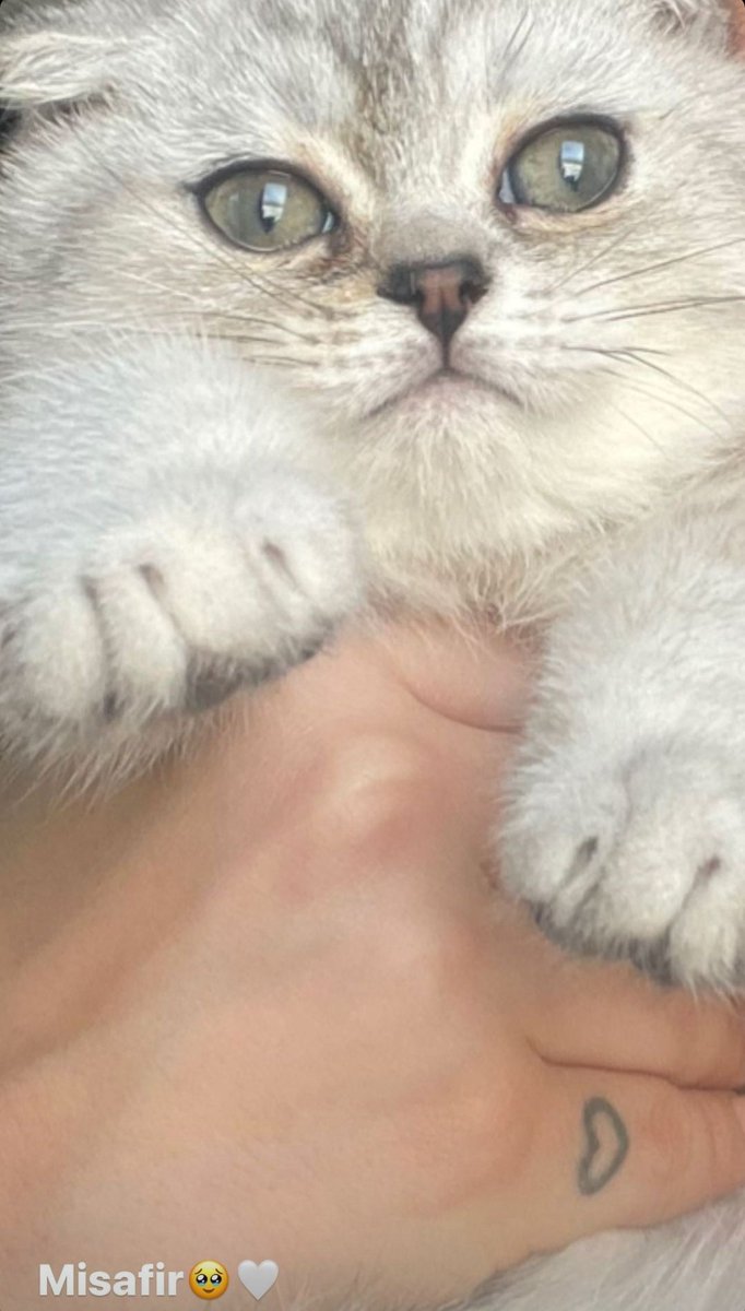 Sushikeni bile özlemişimm #aytol