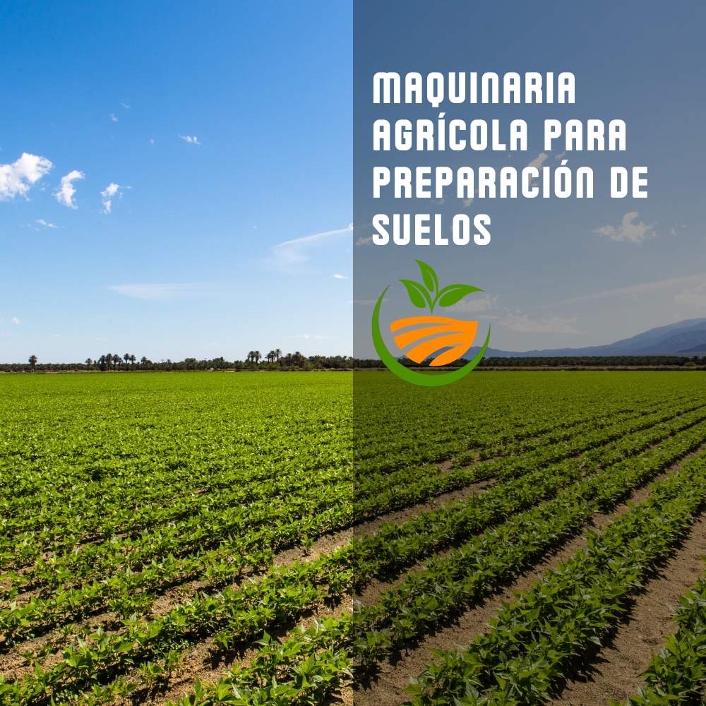 MaciChile's tweet photo. Maquinaria agrícola para preparación de suelos
Carro abonador con platos campo abierto https://t.co/fTHnNCXLPQ
Carro abonador multipropósito
Arado cincel https://t.co/7M0LoGv9rw
Cargador frontal https://t.co/xjUZsdAoFh

#maquinariaagricola #equiposagricolas #agricultura https://t.co/KxlpI9d6ao