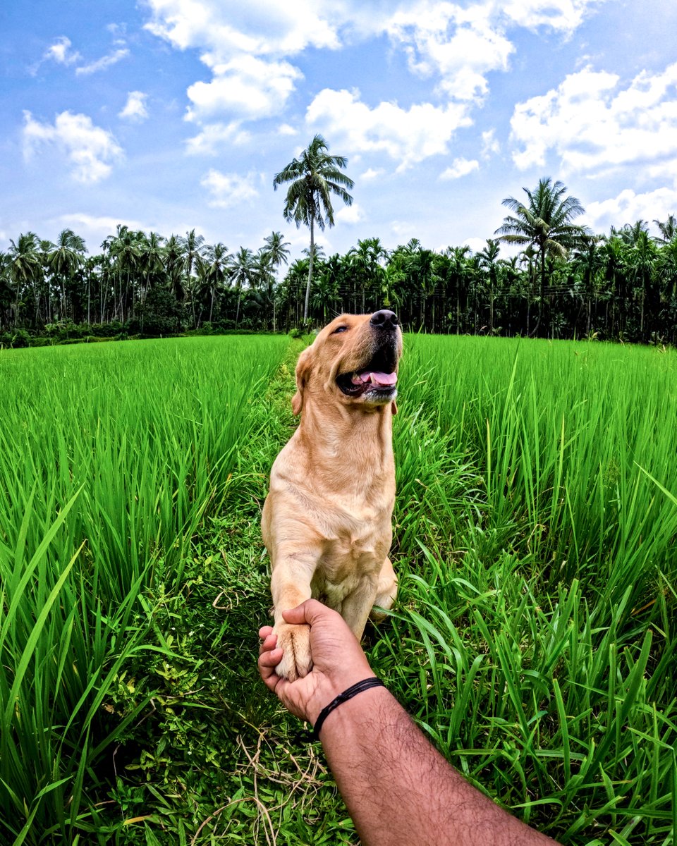 GoPro photo