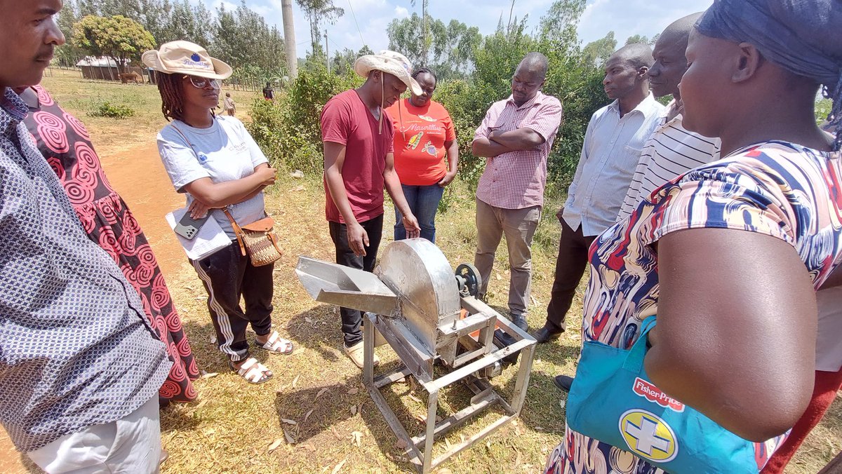 lucas_olewe's tweet photo. If prepared the right way, #cassava can give very white flour suitable for use in the bakery industry. High-quality cassava flour (HQCF) will ease the burden on wheat and maize in the food and feed industry. @plantvillage @selfhelpafrica
@selfhelpkenya
#foodsecurity https://t.co/AxUJBB3PkR