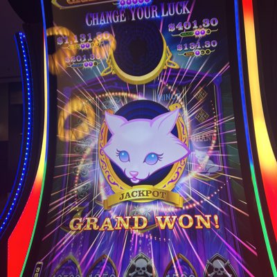 MonkeyBrainz tweet media