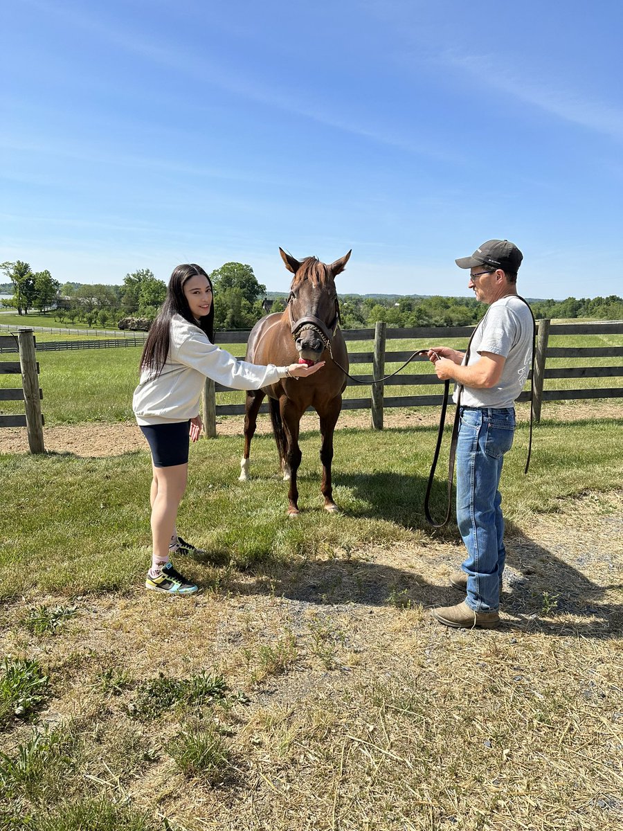 hmlaa's tweet photo. Mission accomplished! Smarty Jones knows who he is and that it’s his world and we’re just lucky to live in it! Thank you to the Eckenrode family for being so kind, hospitable, and accommodating despite me crashing their morning chores! Seriously the best day ever 🥹❤️#smartyparty https://t.co/5Qi5imwQuh