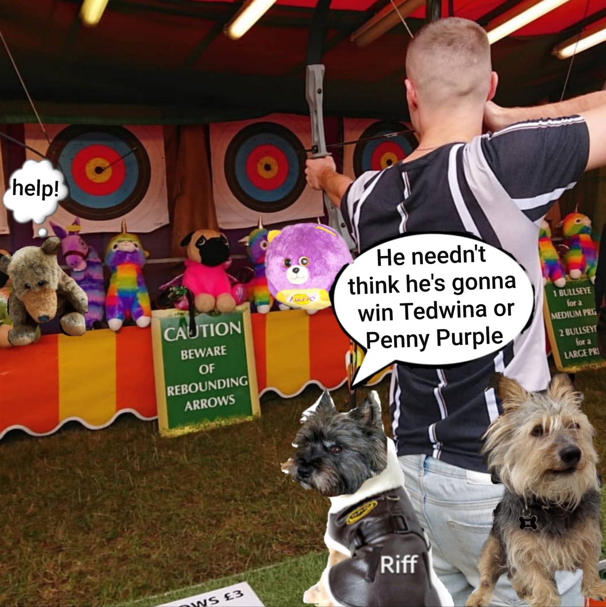 Oh no bestie there's Tedwina and Penny Purple!!! This man better not fink he's gonna win them cos they're ours!!!
@NormanTheCairn @CollieTwiggy #BovverBoys #zzst