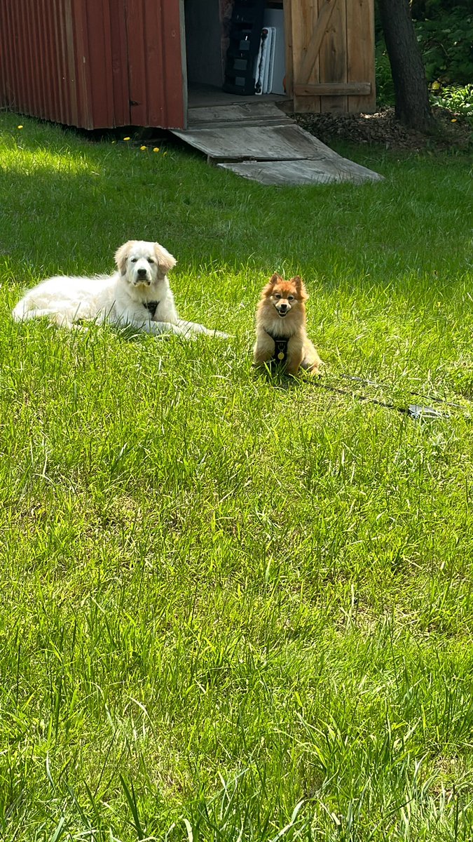 Yard work supervisor crew