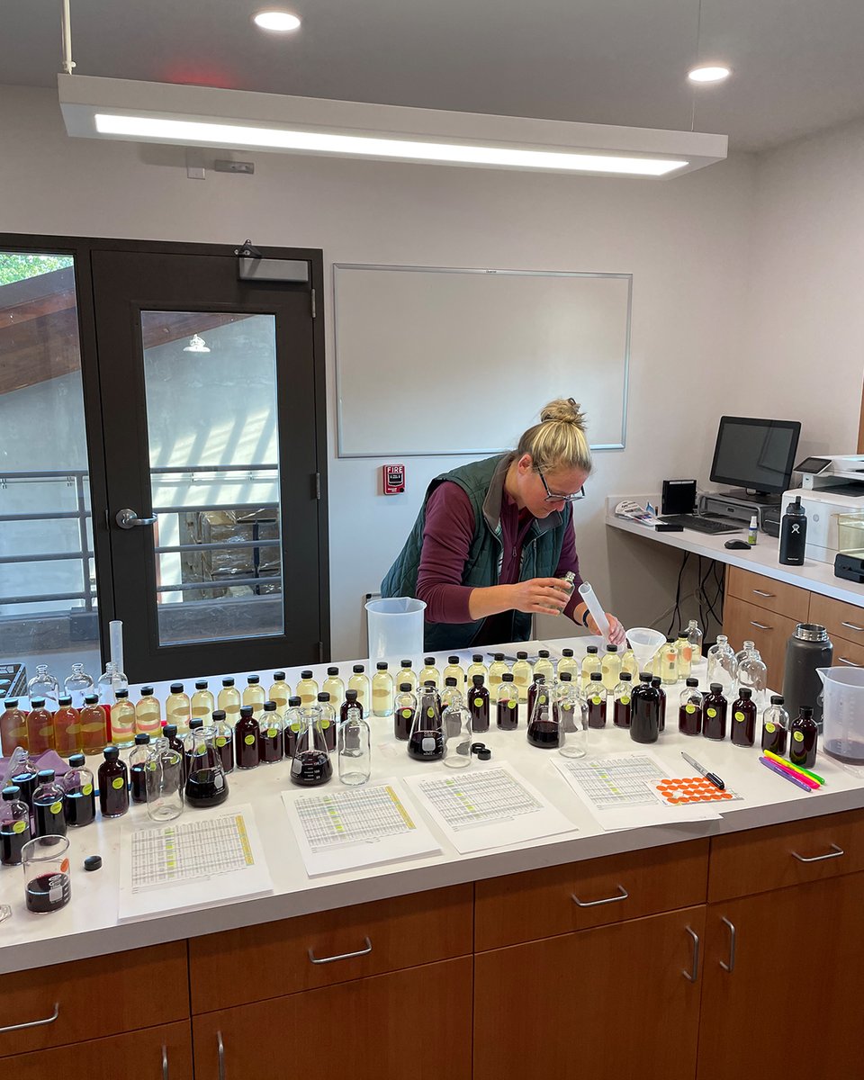 This week, Kate &amp; team focused on delivering meticulous precision in the Aegrina and Hyland blending process. This work allows us to produce terroir-driven wines that showcase all your favorite Penner-Ash bottles' distinct textures and flavor profiles.