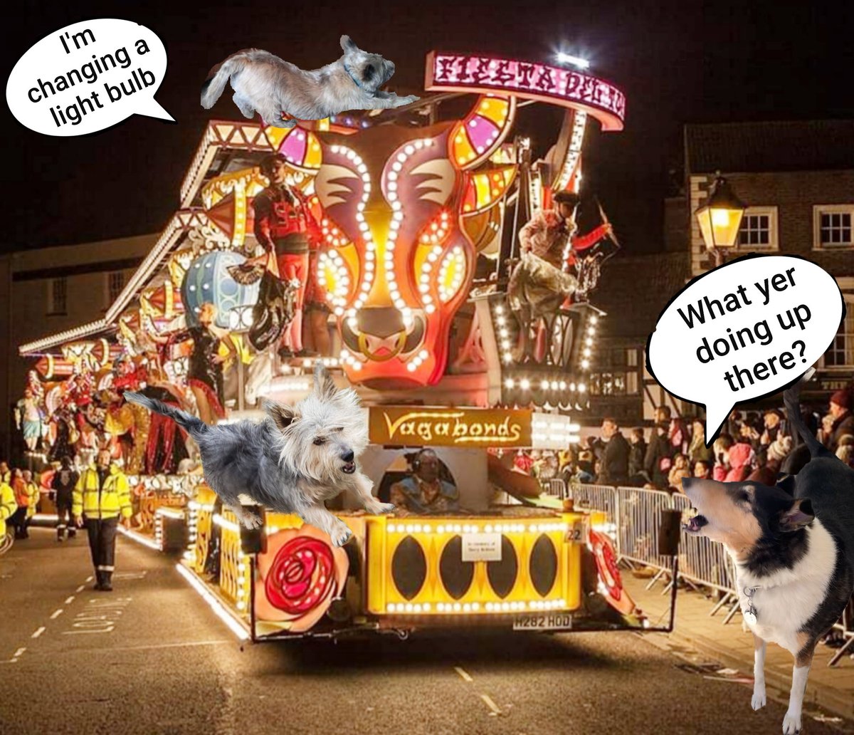 I've gotta change a light bulb bestie!!
@NormanTheCairn @CollieTwiggy #BovverBoys #zzst