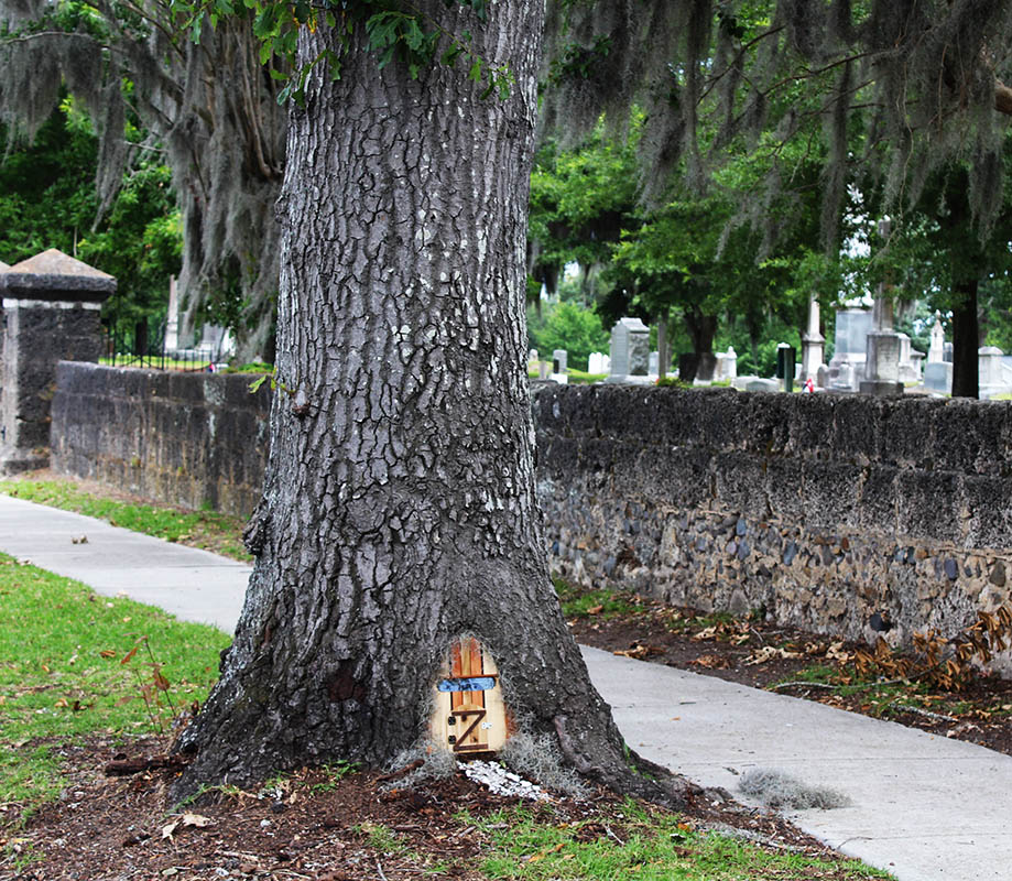 Good morning! Would like to know the story of the tree door next to Cedar Grove Cemetery in #NewBern. Anyone?