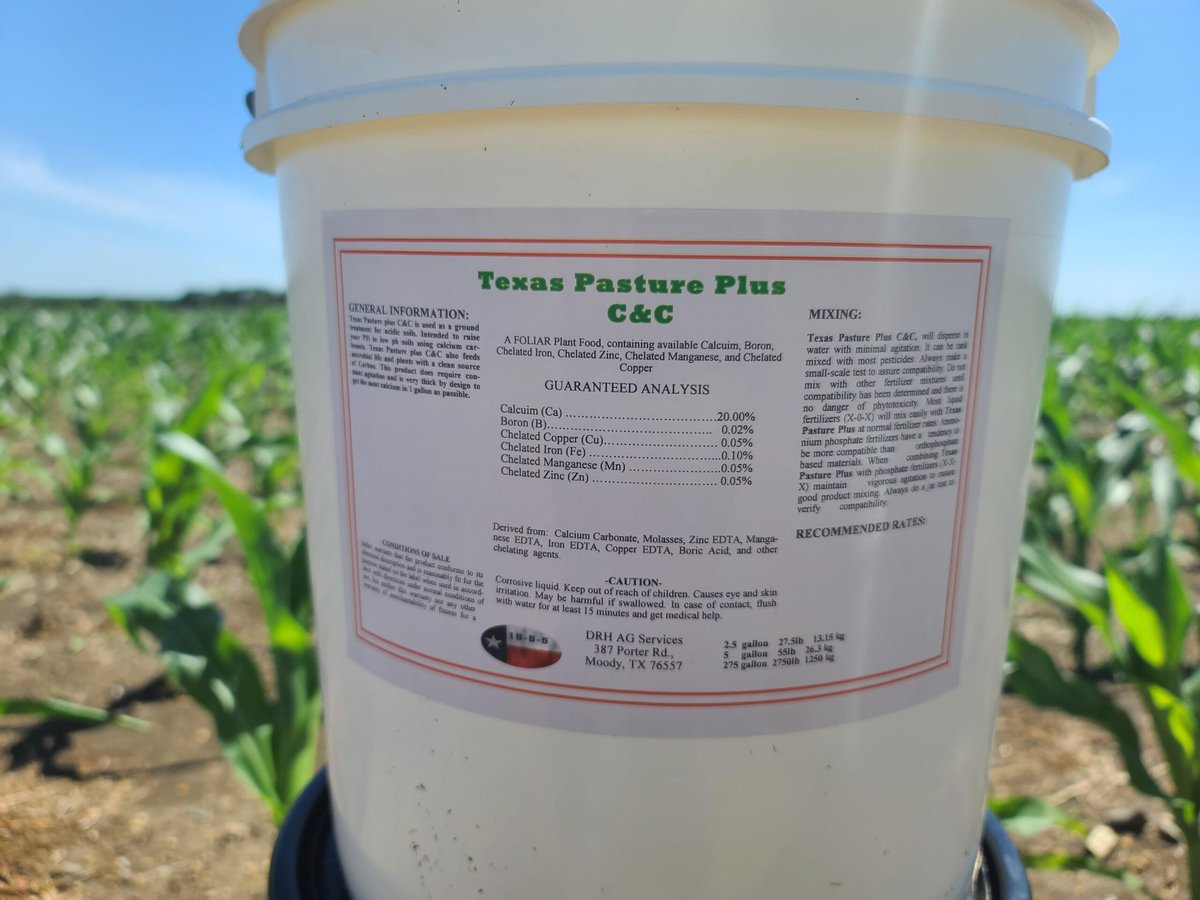 Cody Leemon tweet media