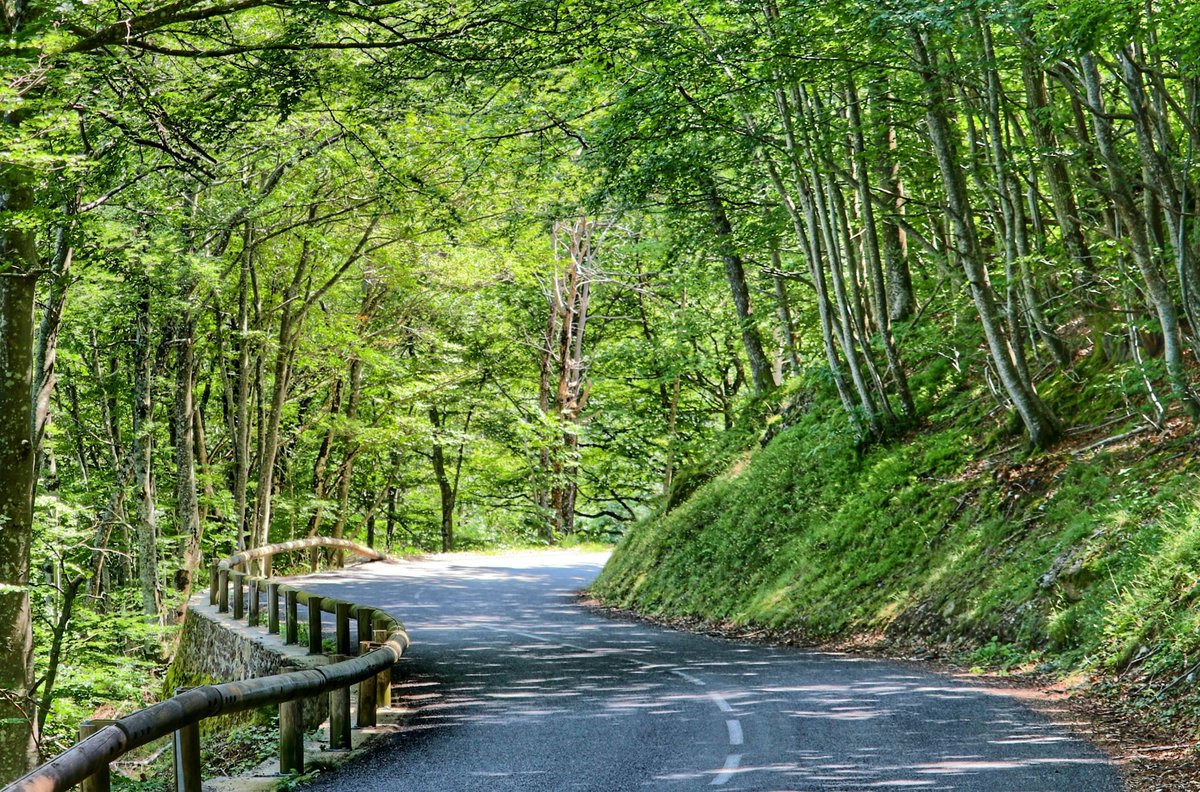 #cévennes #road #route #naturephotography #paysage