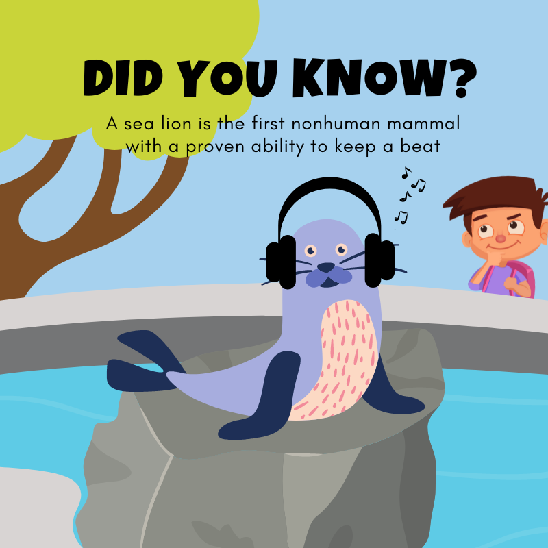 bumps_bottom's tweet photo. I wonder if they can clap to Taylor Swift!🎶🎵

#BottomBumps #EddieAndTheBumps #Seal #Fact #Rhyming #FactsforKids #InterestingFact #MobileGame🎧 https://t.co/NNGyyxrHpS