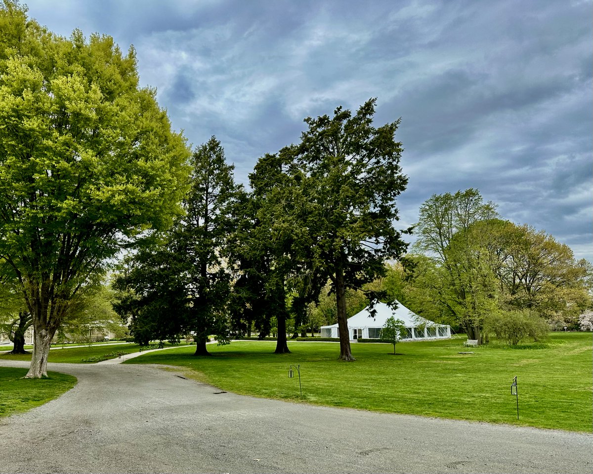 Our grounds look beautiful, no matter the weather!

#AltText: Our white event tent is surrounded by green trees and a stormy sky.