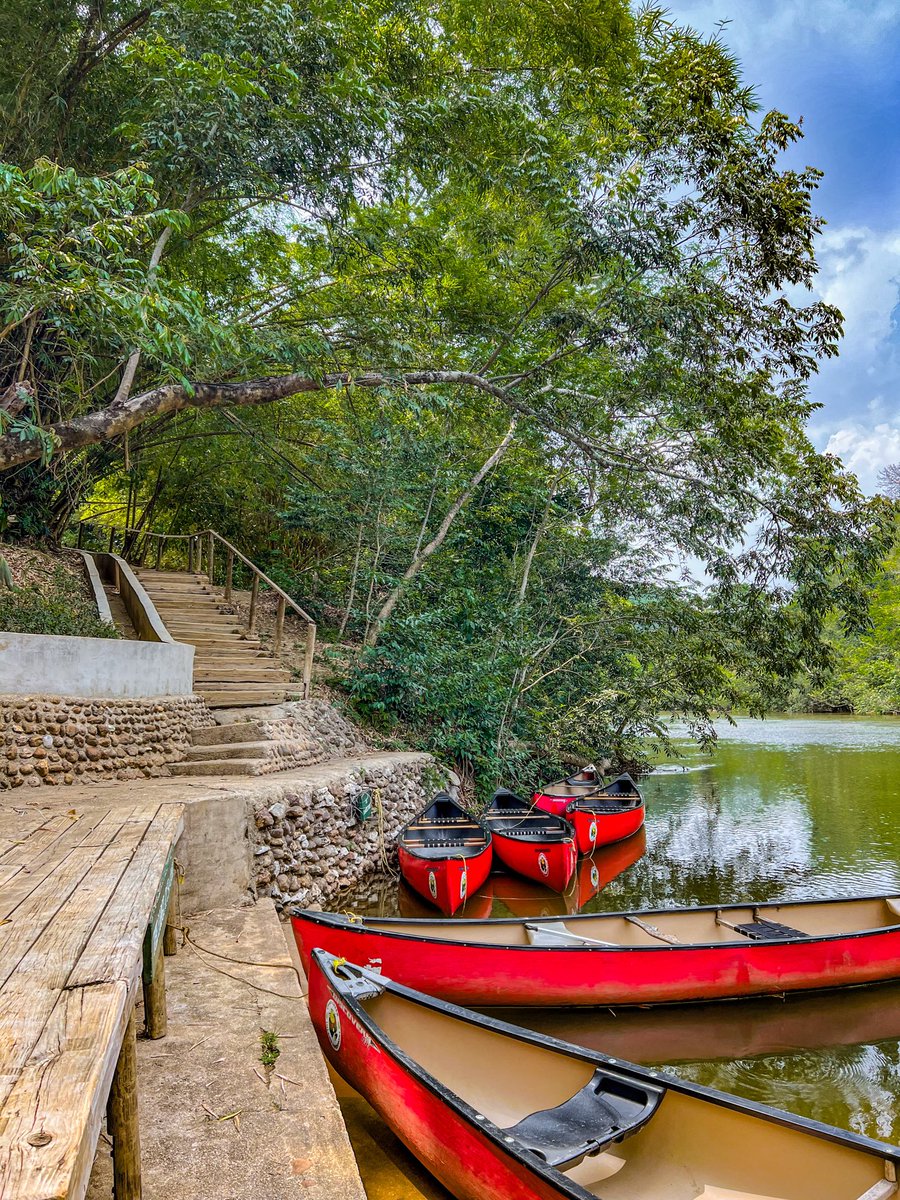 A perfect #summer getaway 🤩

#chaacreek #belize #summerescape #wildlycivilized