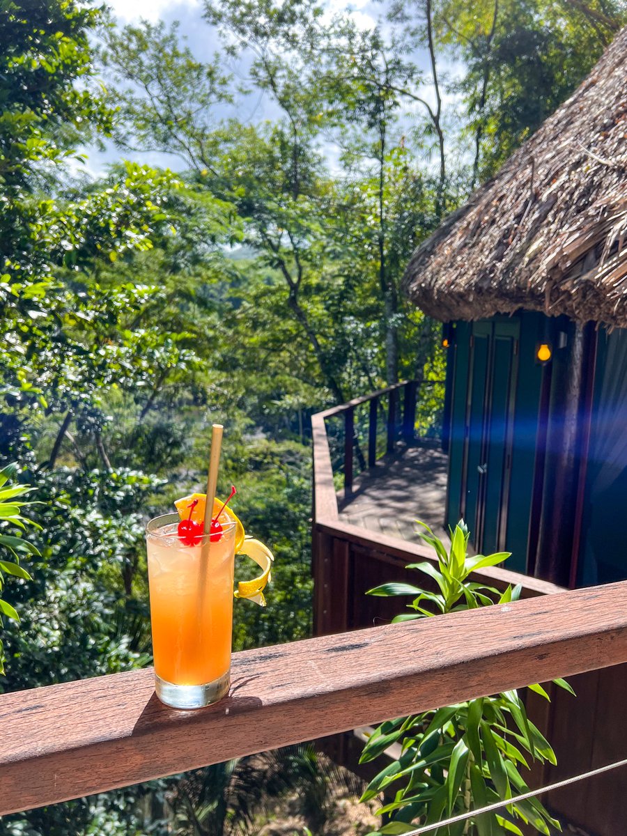 Chaa Creek Lodge tweet media