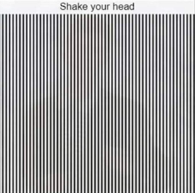 ☆ Jay/Noah ☆ 🍉 tweet media