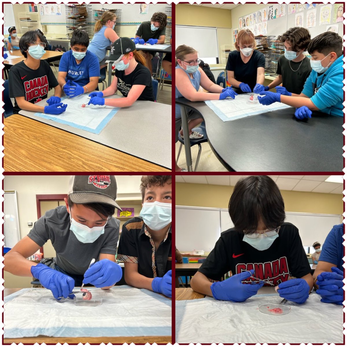 Thanks to the St. Boniface Research Foundation &amp; the ‘It’s All About Me’ program, our students learned more about anatomy of the eye through dissection! So cool!