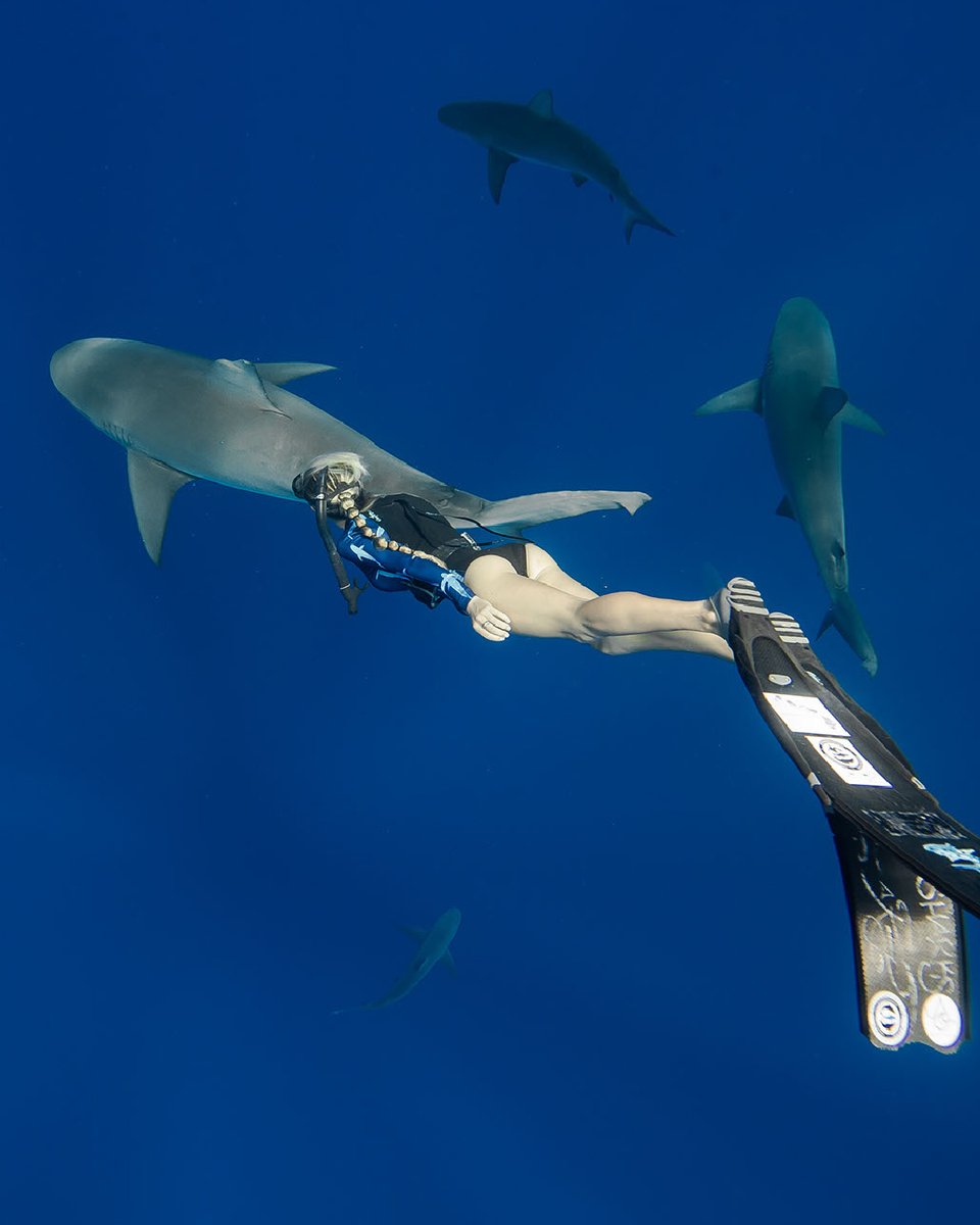 freestyle_watch's tweet photo. 🦈 Into the blue with @oceanramsey x @freestylewatches new limited-edition watch, Lelewa’a Cove! 🦈

#oceanramsey #myfreestylewatch #helpsavesharks #marineconservation #sharklove https://t.co/NJsIO7UY2j https://t.co/VCMFmRa0FV