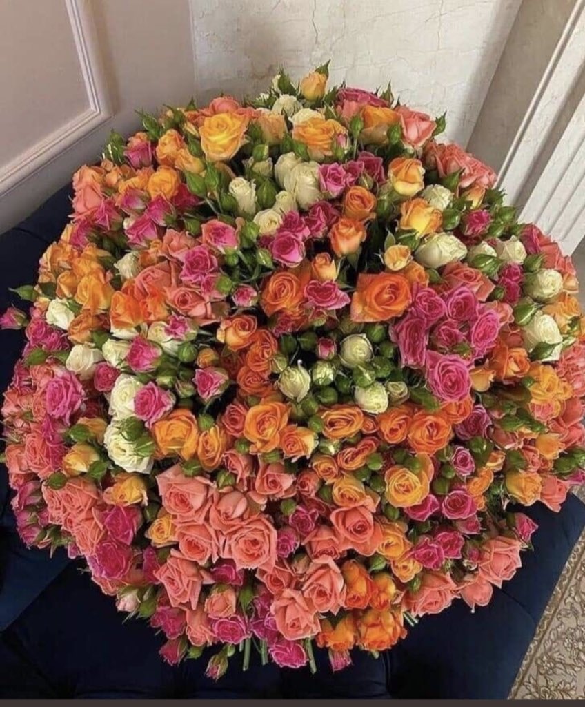 مساء الخير والإحساس والطيبة
مساء مايليق إلا بأحبابي
🌹❤️🌹❤️