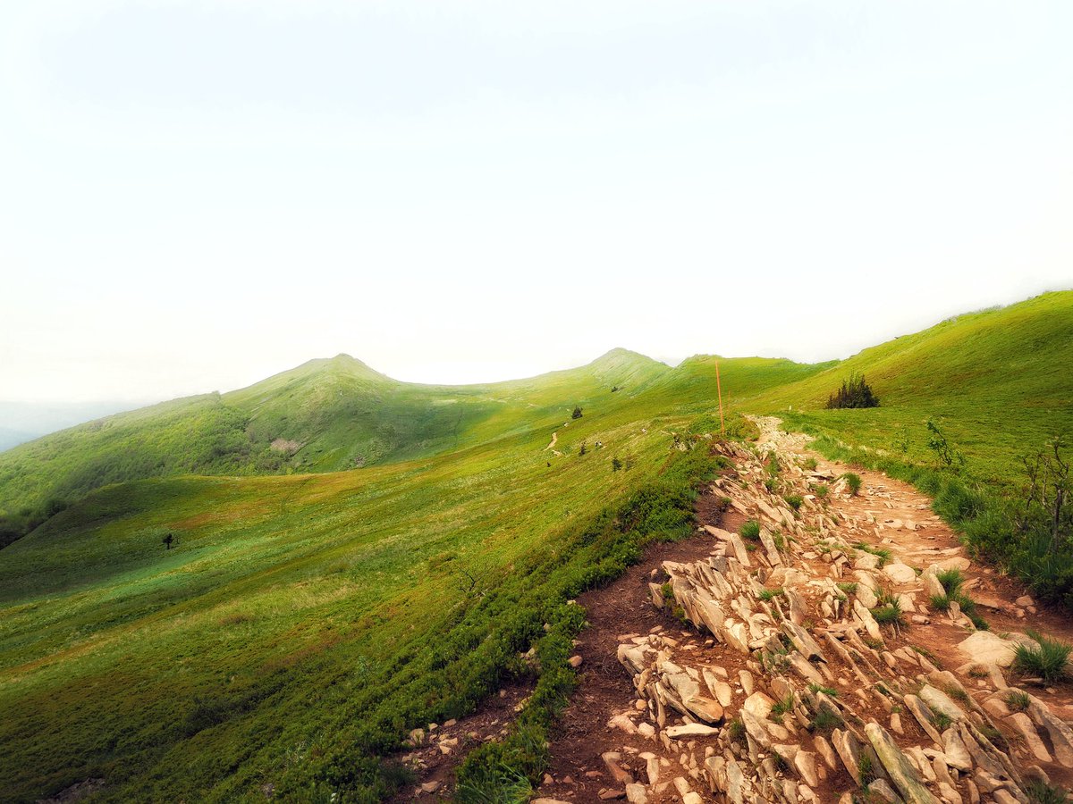 Milan J. Svitek tweet media